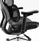 Sihoo Doro S100